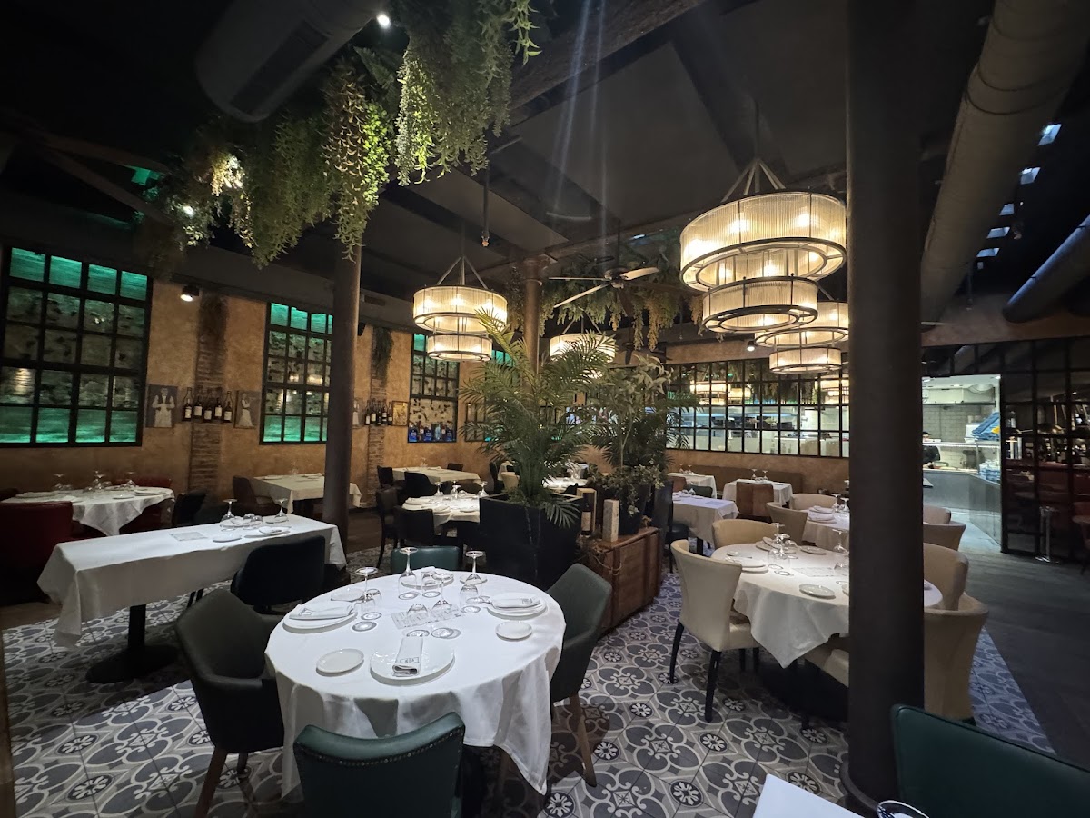 El Rincón Vinos y Tapas