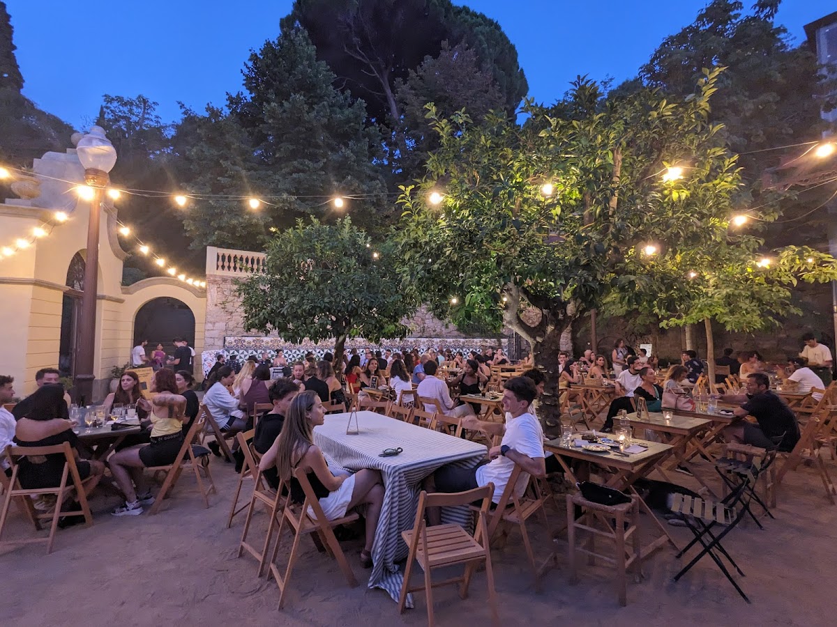 la font del gat