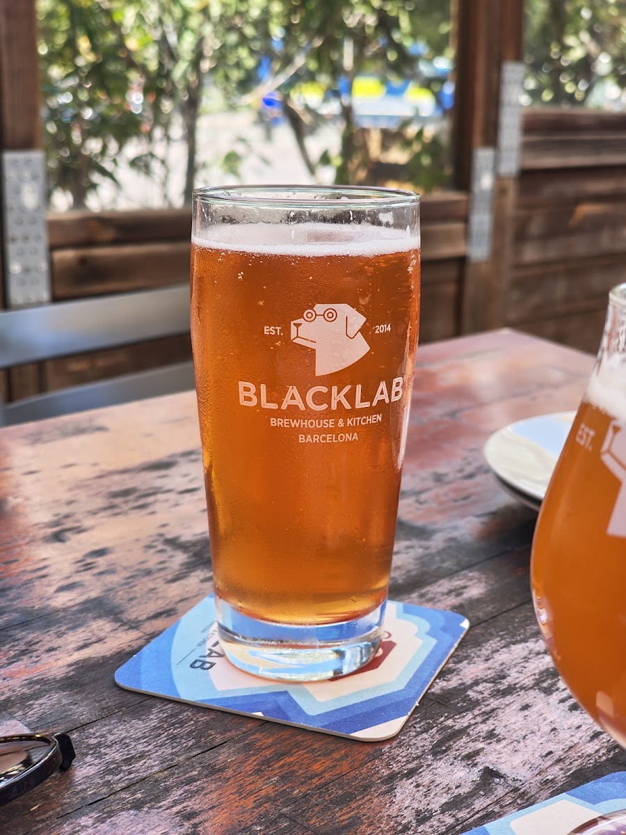 BlackLab Brewhouse & Kitchen