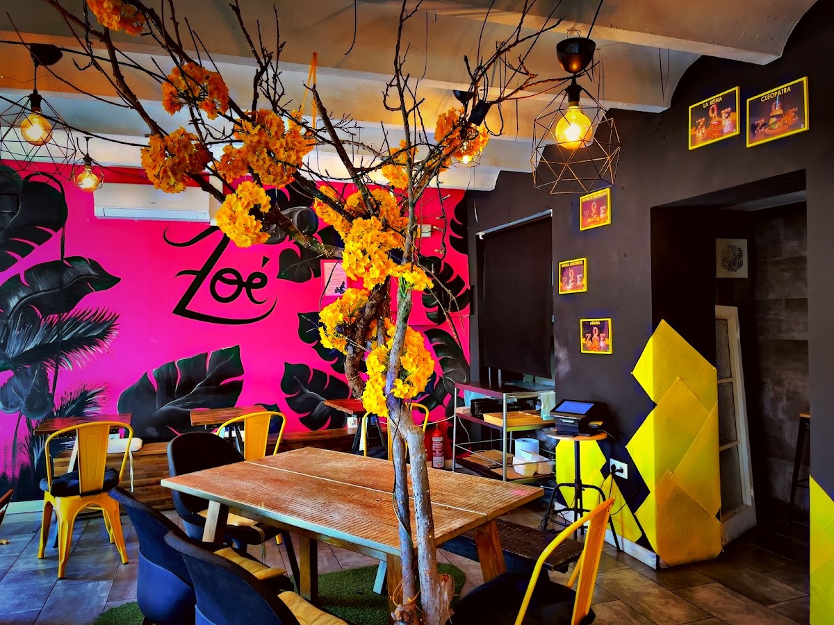 Zoé Experience BCN