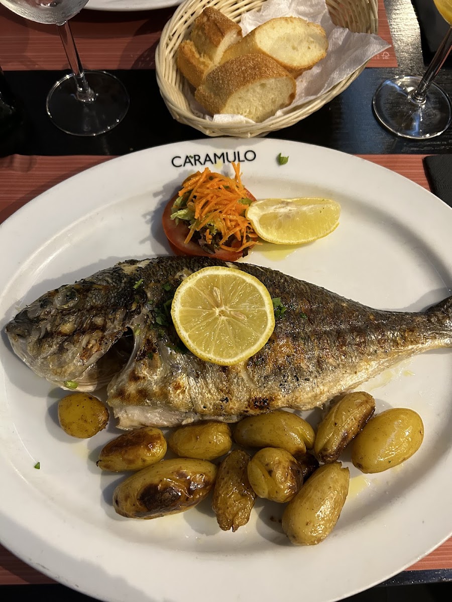 Caramulo