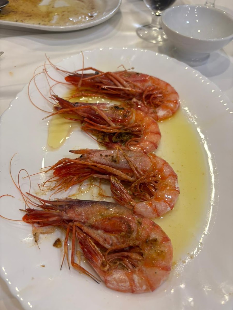 Sabor 5