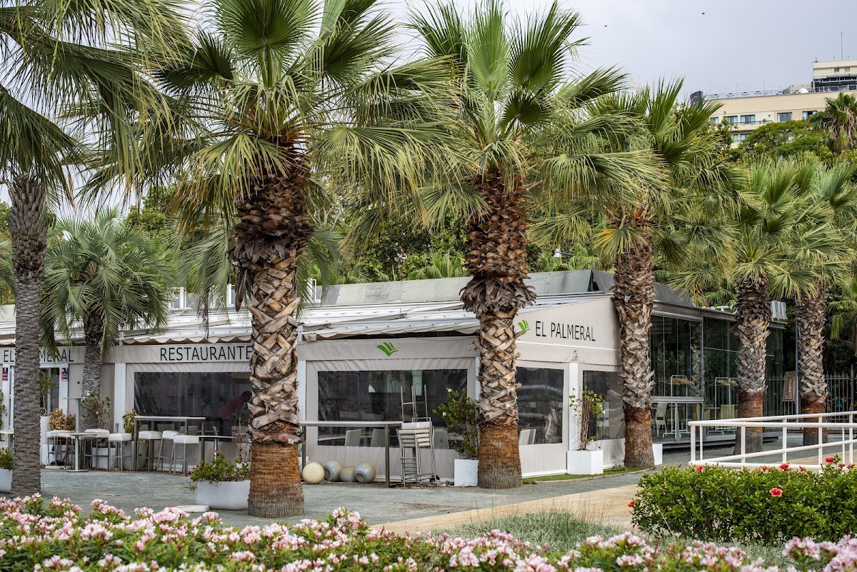 Restaurante El Palmeral - Foto 3
