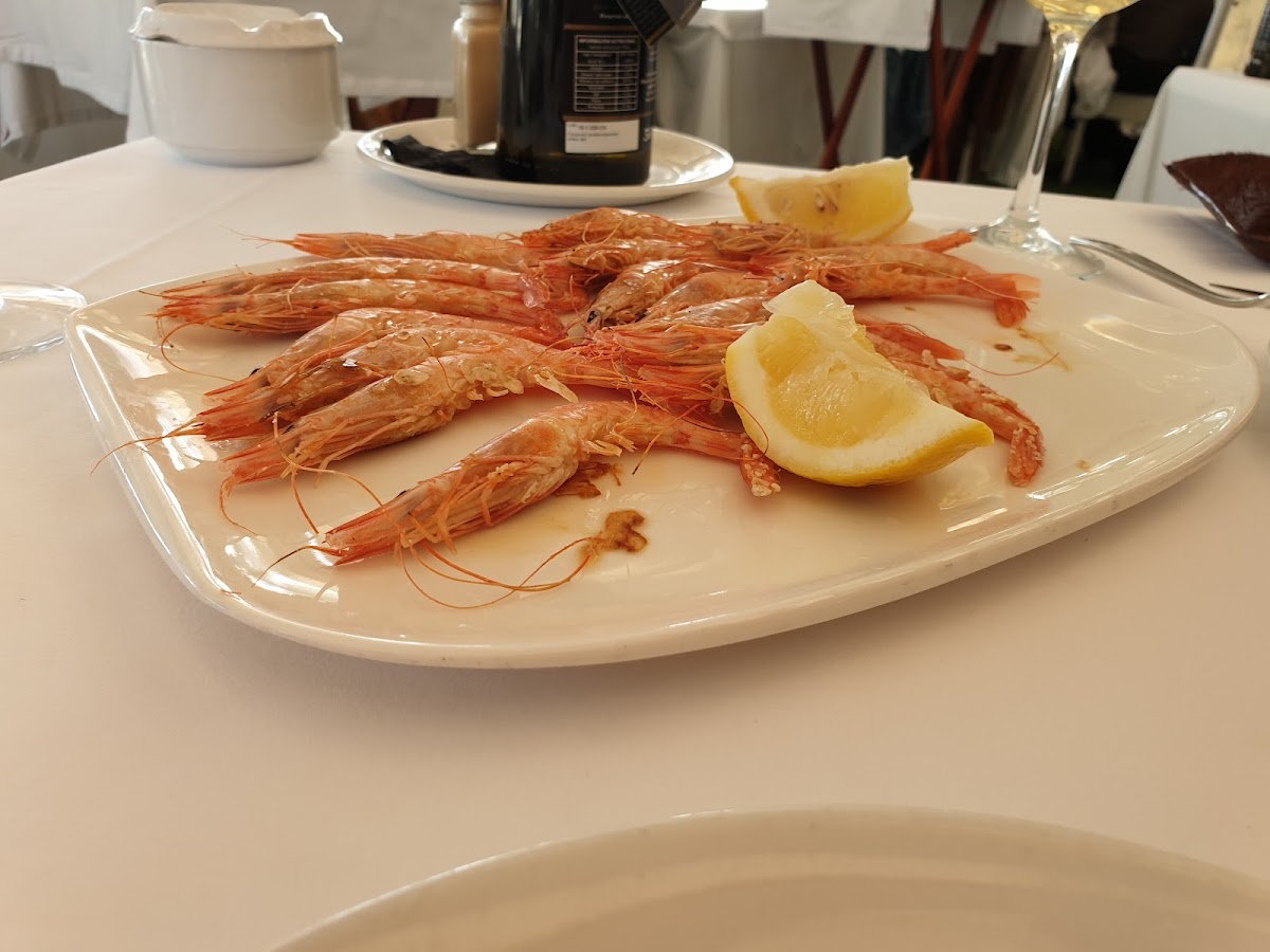Restaurante El Palmeral - Foto 6