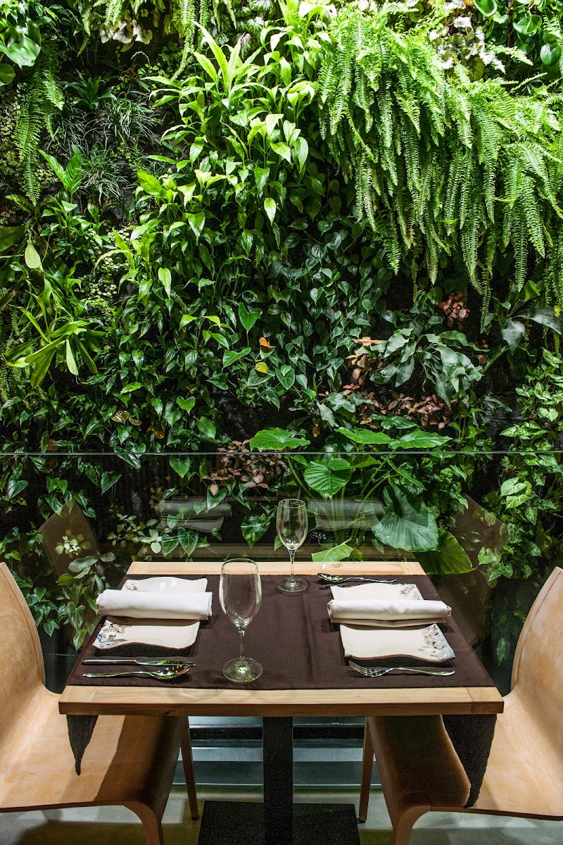 Restaurante Terraza De La O | Alta Cocina Andaluza en Sevilla