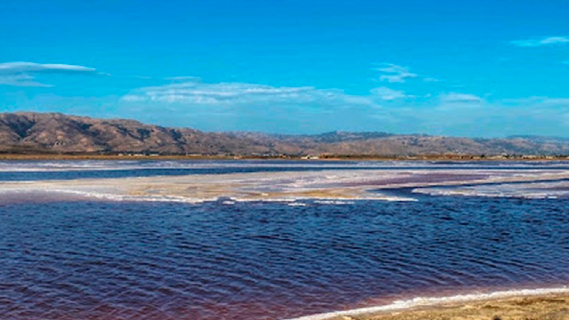 Alviso, CA