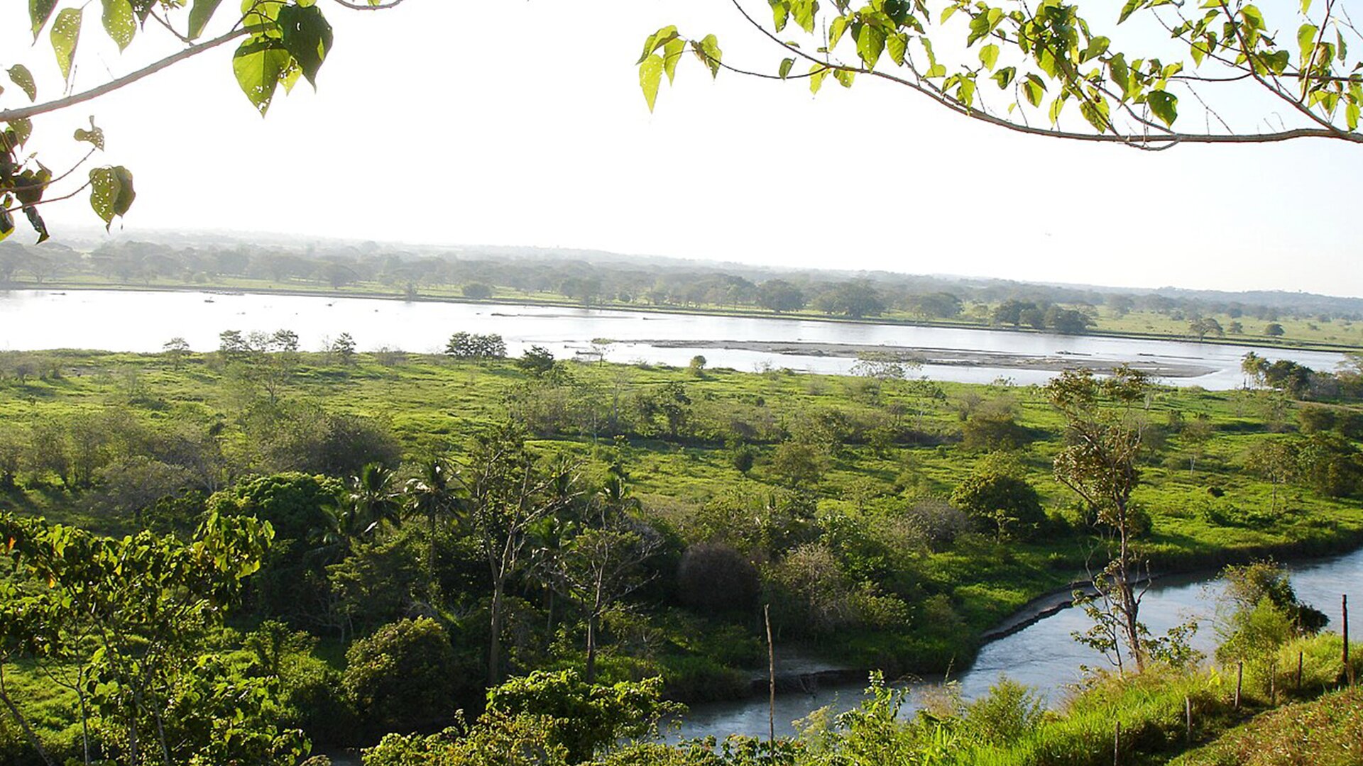 Caucasia