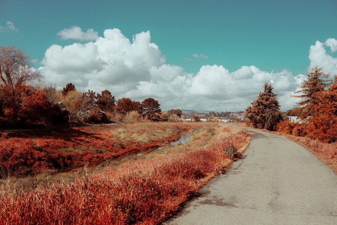 Concord, CA