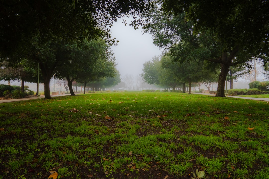 Elk Grove, CA