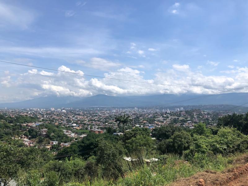 Guacamayas