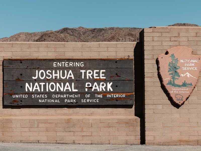 Joshua Tree, CA