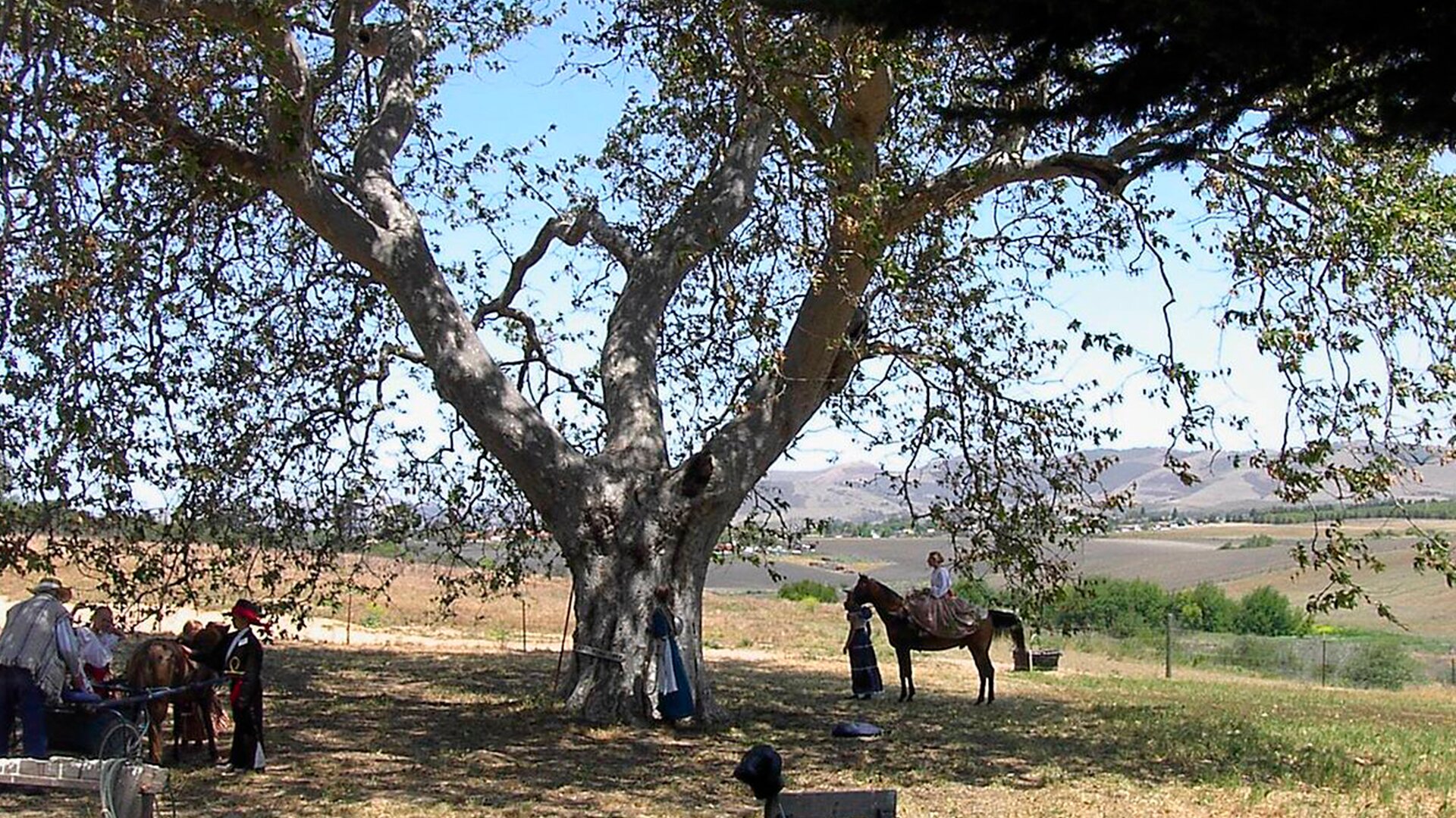 Nipomo, CA