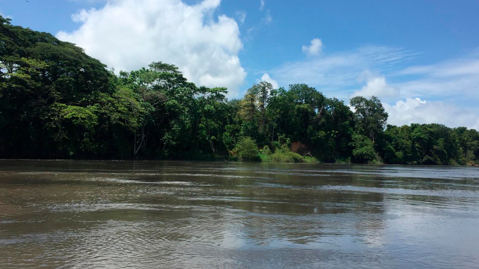 Puerto Araujo