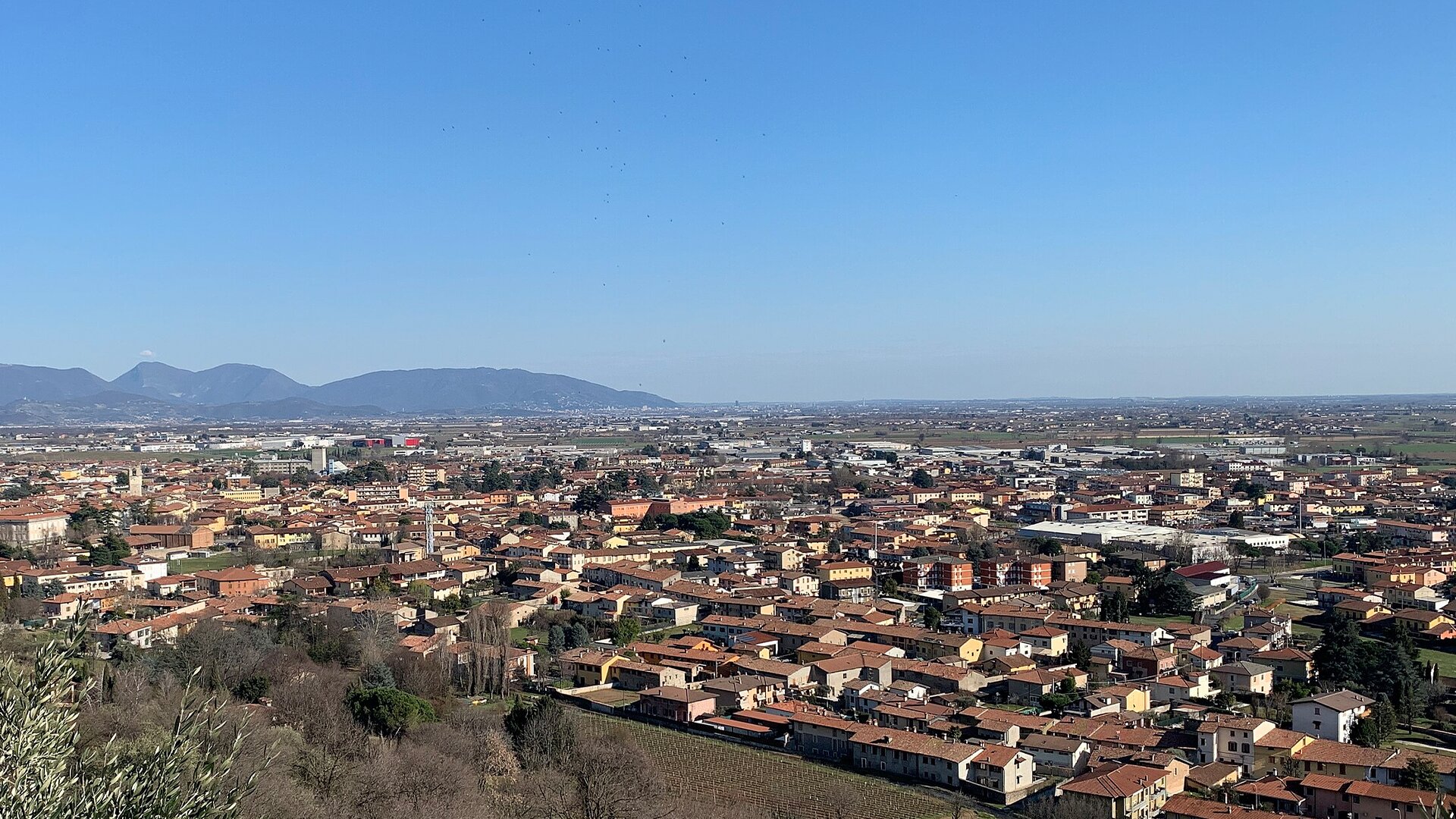 Rovato