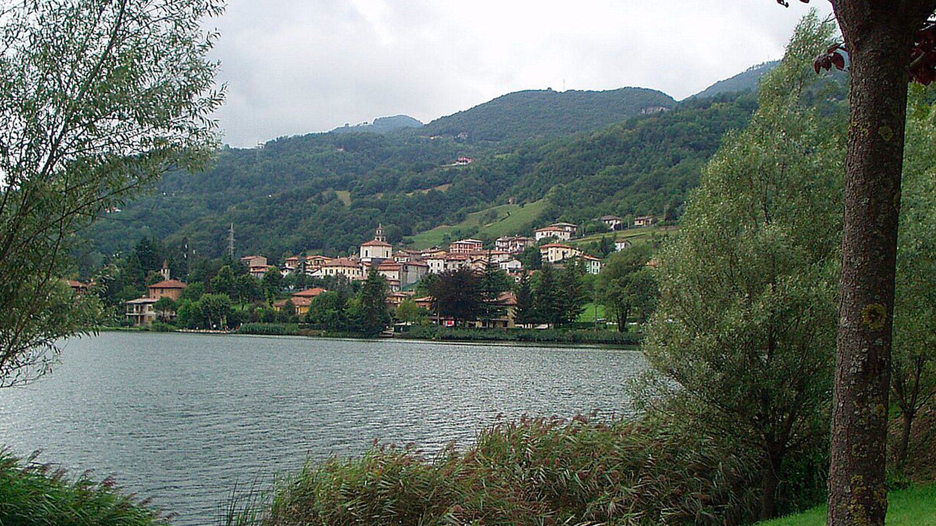 Spinone al Lago