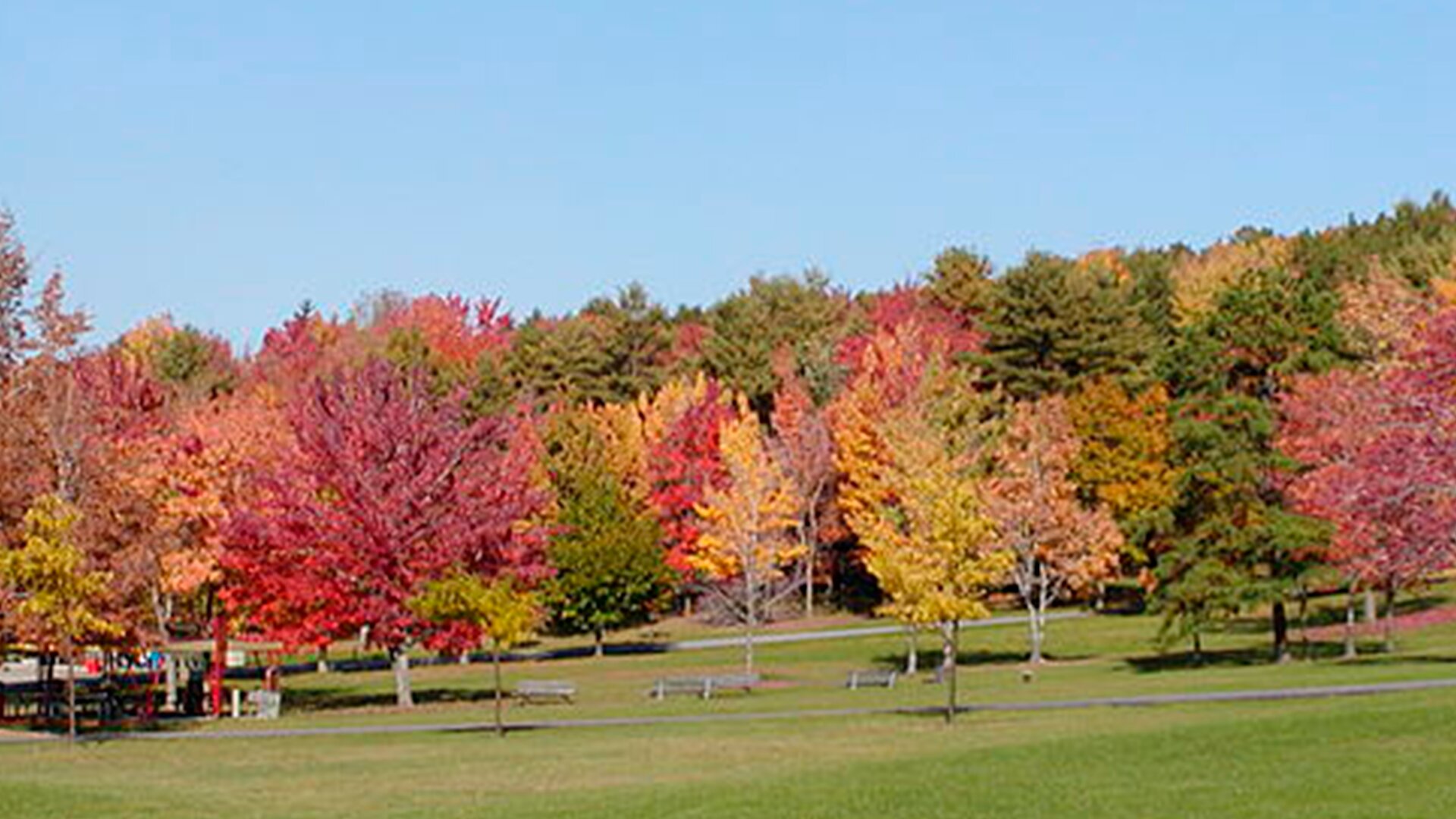 Vestal, NY