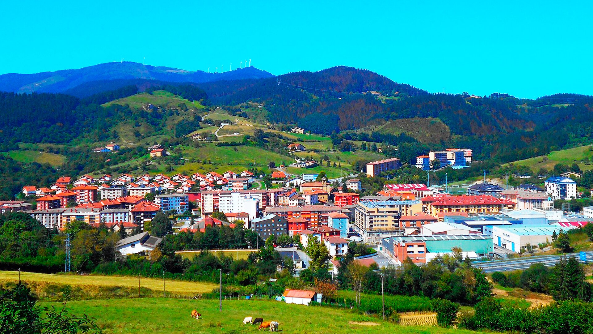 Zaldibar
